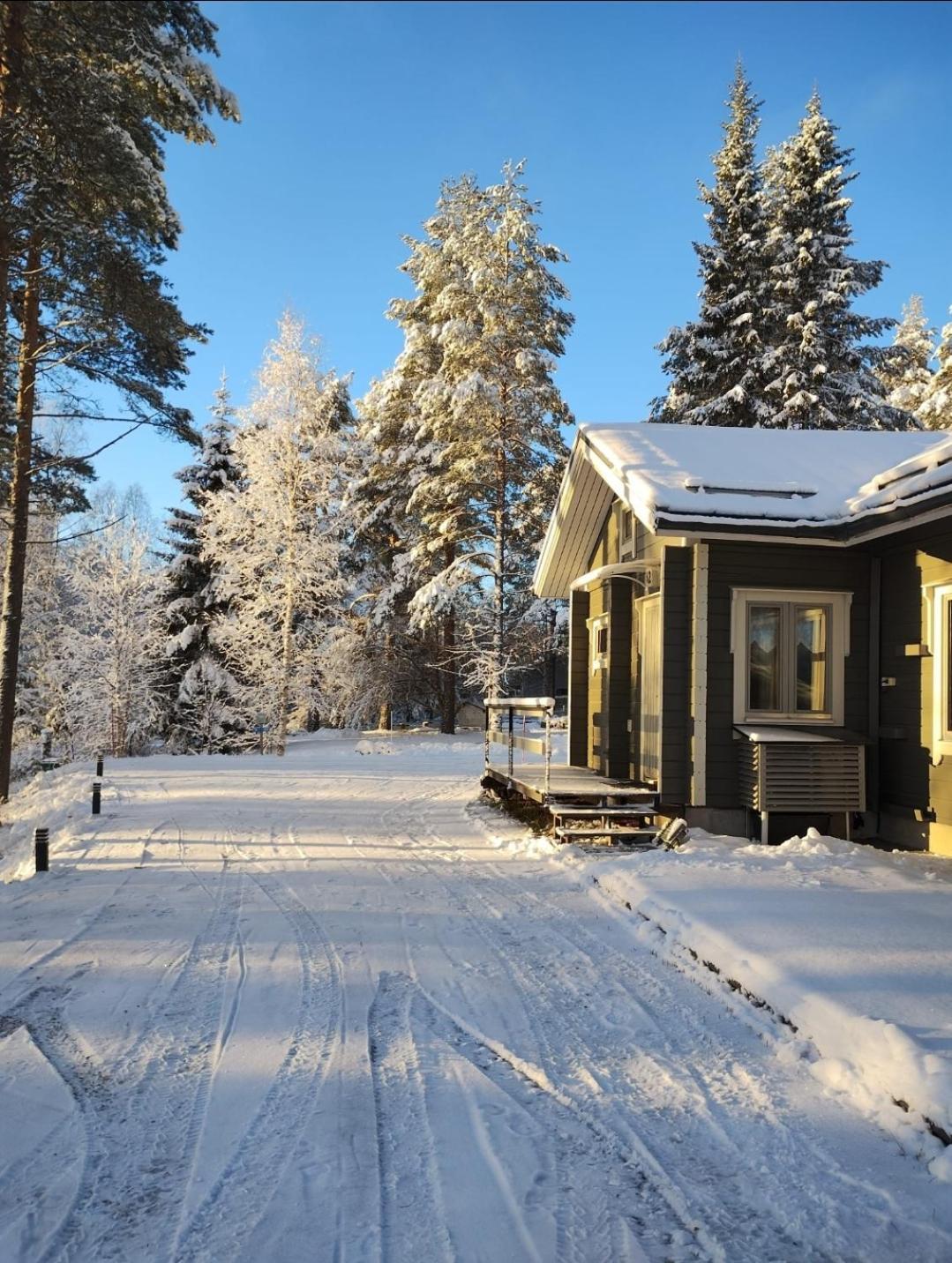 Villa Aleksi With Sauna Рованиеми Екстериор снимка